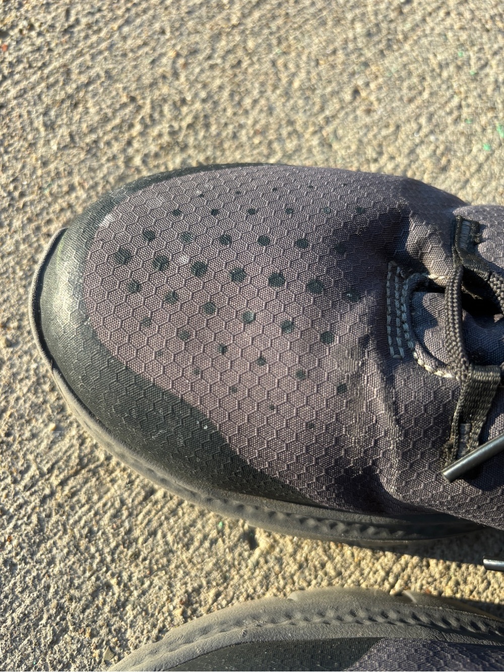 Timberlands - Picture 6 of 9